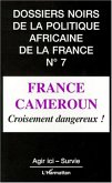 France Cameroun, croisement dangereux (eBook, PDF)