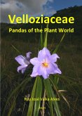 Velloziaceae (eBook, ePUB)