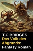 Das Volk des Abgrunds: Fantasy Roman (eBook, ePUB)