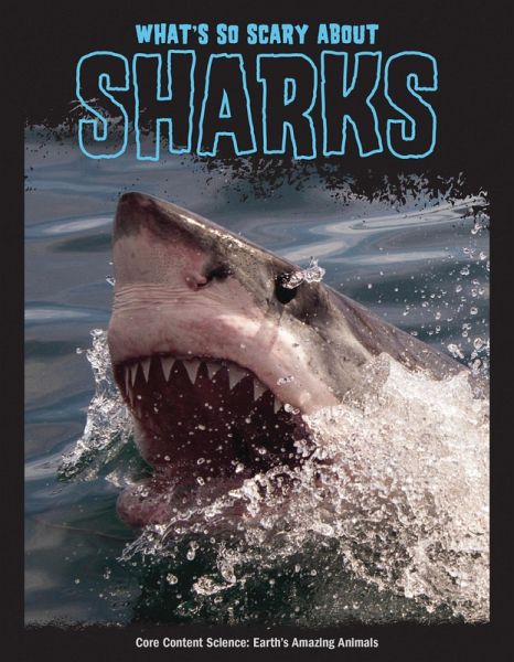 What's So Scary about Sharks? (eBook, PDF)