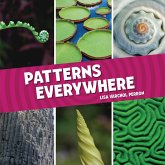 Patterns Everywhere (eBook, ePUB)