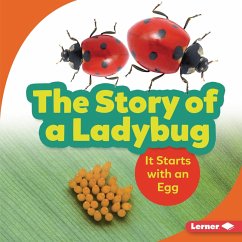 Cover Story of a Ladybug (eBook, ePUB)