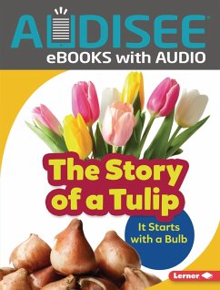 Cover Story of a Tulip (eBook, ePUB)