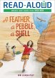 Feather, a Pebble, a Shell (eBook, ePUB) - Bild 1