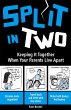 Split in Two (eBook, ePUB) - Bild 1