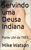 Servindo uma Deusa Indiana (eBook, ePUB)
