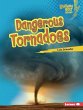 Dangerous Tornadoes (eBook, ePUB) - Bild 1