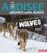 On the Hunt with Wolves (eBook, ePUB) - Bild 1