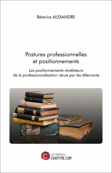 Postures professionnelles et positionnements (eBook, ePUB)