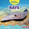 Rays (eBook, PDF) - Bild 1