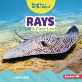 Rays (eBook, PDF)