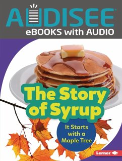 Story of Syrup (eBook, ePUB) - Mitchell, Melanie