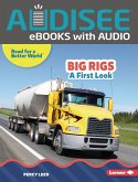 Big Rigs (eBook, ePUB)