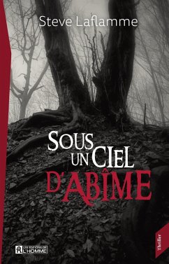 Cover Sous un ciel d'abîme (eBook, ePUB)