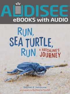 Cover Run, Sea Turtle, Run (eBook, ePUB)