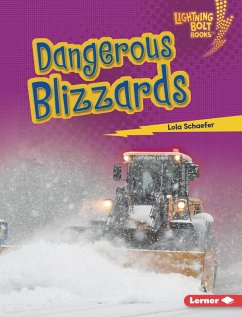 Dangerous Blizzards (eBook, ePUB) - Schaefer, Lola