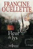 Feu, tome 3 (eBook, ePUB) Feu, tome 3 (eBook, ePUB)