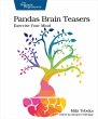 Pandas Brain Teasers (eBook, PDF) - Bild 1