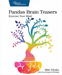 Pandas Brain Teasers (eBook, PDF) - Tebeka, Miki