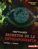 Secretos de la esteganografía (Secrets of Steganography) (eBook, ePUB)