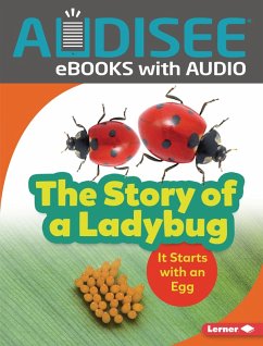Cover Story of a Ladybug (eBook, ePUB)