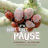 Wait, Rest, Pause (eBook, ePUB) - Bild 1