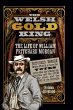 Welsh Gold King (eBook, PDF) - Bild 1