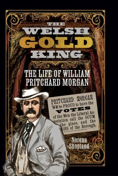 Cover Welsh Gold King (eBook, PDF)