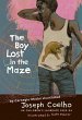 Boy Lost in the Maze (eBook, ePUB) - Bild 1
