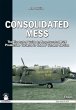 Consolidated Mess (eBook, ePUB) - Bild 1