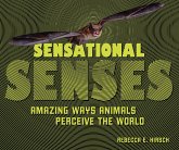 Sensational Senses (eBook, ePUB)