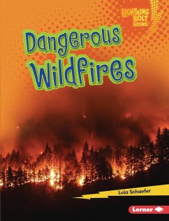 Cover Dangerous Wildfires (eBook, ePUB)