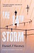 14th Storm (eBook, ePUB) - Bild 1