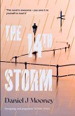 14th Storm (eBook, ePUB)