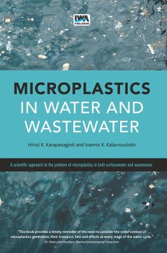 Cover Microplastics in Water and Wastewater (eBook, PDF)