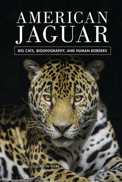 American Jaguar (eBook, ePUB)