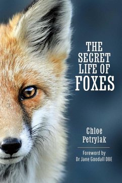 Secret Life of Foxes (eBook, PDF) Cover Secret Life of Foxes (eBook, PDF)