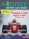 Formula One Race Cars (eBook, ePUB)