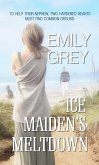 Ice Maiden's Meltdown (eBook, ePUB)