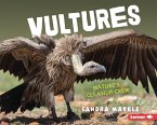Vultures (eBook, ePUB)