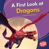 First Look at Dragons (eBook, ePUB) - Bild 1