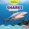 Sharks (eBook, PDF) - Bild 1