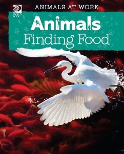 Cover Animals Finding Food (eBook, PDF)