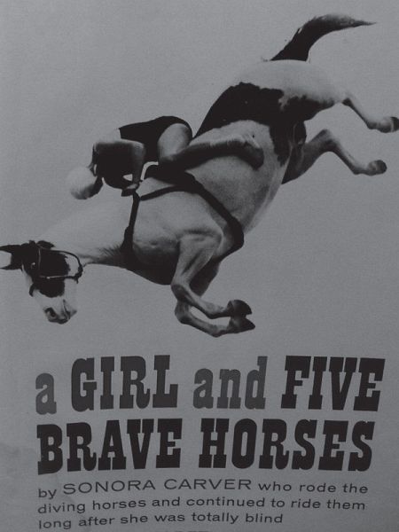 Girl and Five Brave Horses (eBook, ePUB) Girl and Five Brave Horses (eBook, ePUB)