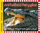 Cyfres Dwlu Dysgu: Anifeiliaid Peryglus (eBook, PDF) Cyfres Dwlu Dysgu: Anifeiliaid Peryglus (eBook, PDF)