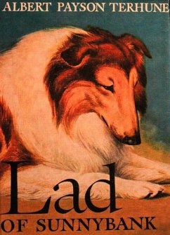 Cover Lad of Sunnybank (eBook, ePUB)