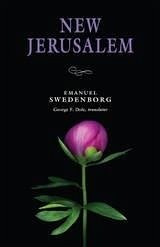 Cover New Jerusalem (eBook, ePUB)