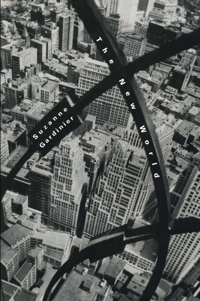 New World (eBook, ePUB)