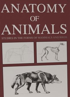 Cover Anatomy of Animals: Studies in the Forms of Mammals and Birds (eBook, ePUB)