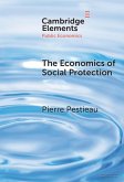 Economics of Social Protection (eBook, ePUB)